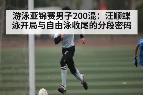 游泳亚锦赛男子200混：汪顺蝶泳开局与自由泳收尾的分段密码